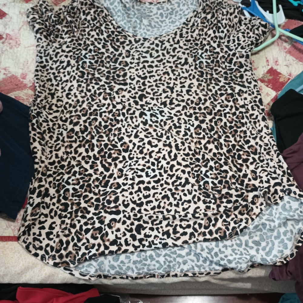 24/7 Leopard Dolman Sleeve Tee